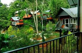 View from Family Suite